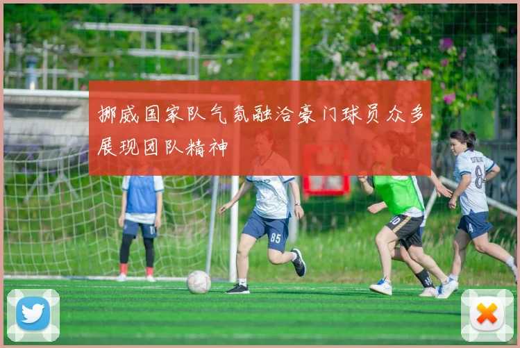 挪威国家队气氛融洽豪门球员众多展现团队精神