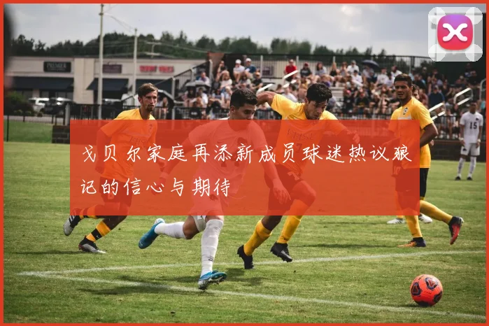 戈贝尔家庭再添新成员球迷热议狼记的信心与期待