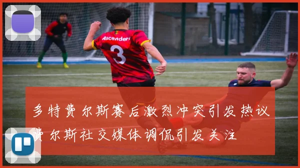 多特费尔斯赛后激烈冲突引发热议费尔斯社交媒体调侃引发关注