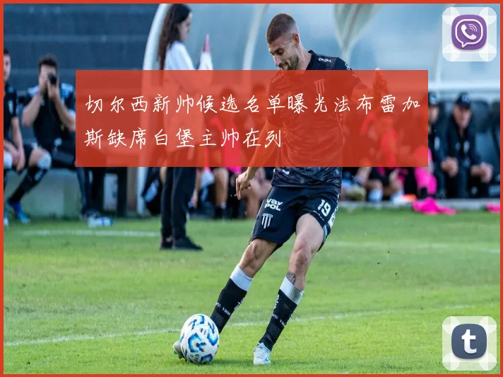 切尔西新帅候选名单曝光法布雷加斯缺席白堡主帅在列