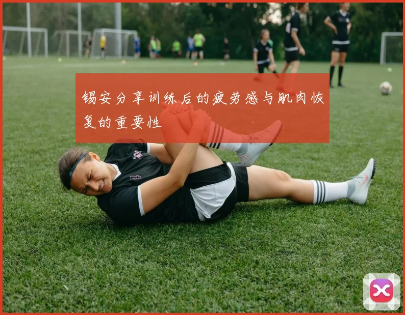 锡安分享训练后的疲劳感与肌肉恢复的重要性